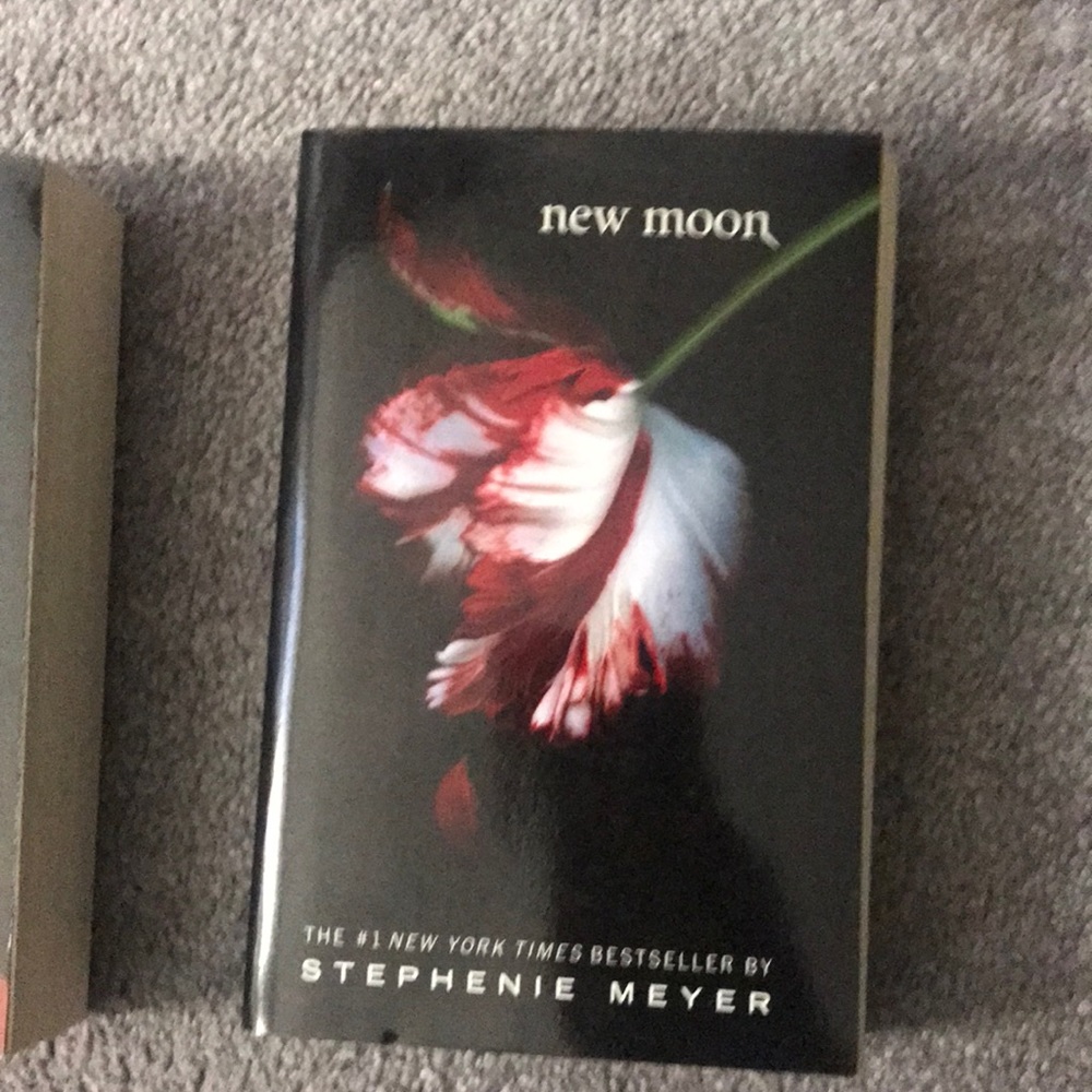 Twighlight / New Moon / Eclipse (Set of 3 books )